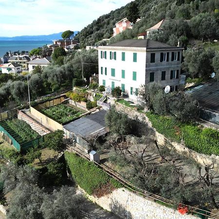 Cav Gli Ulivi Di Bogliasco Villa Buitenkant foto