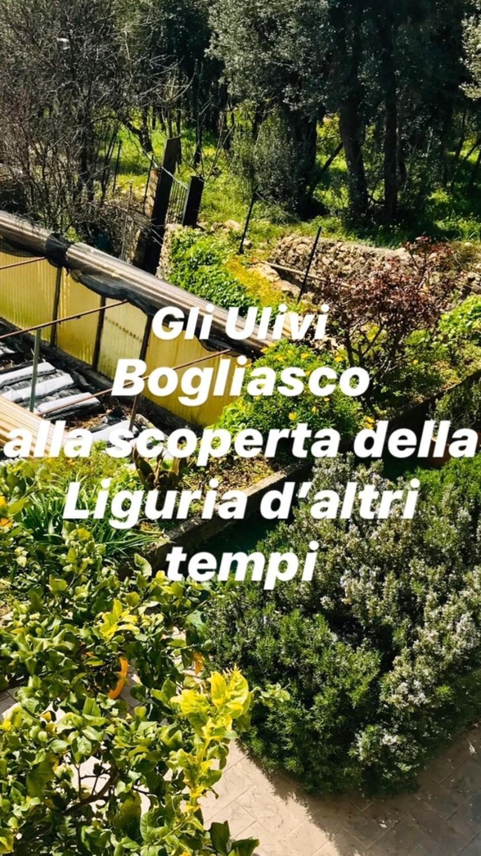 Cav Gli Ulivi Di Bogliasco Villa Buitenkant foto