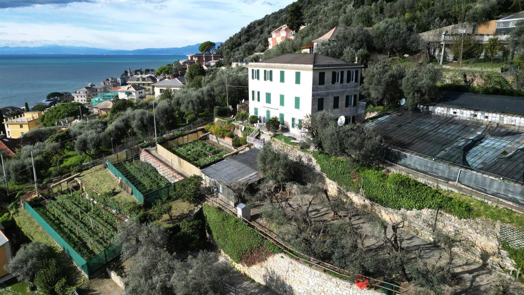 Cav Gli Ulivi Di Bogliasco Villa Buitenkant foto