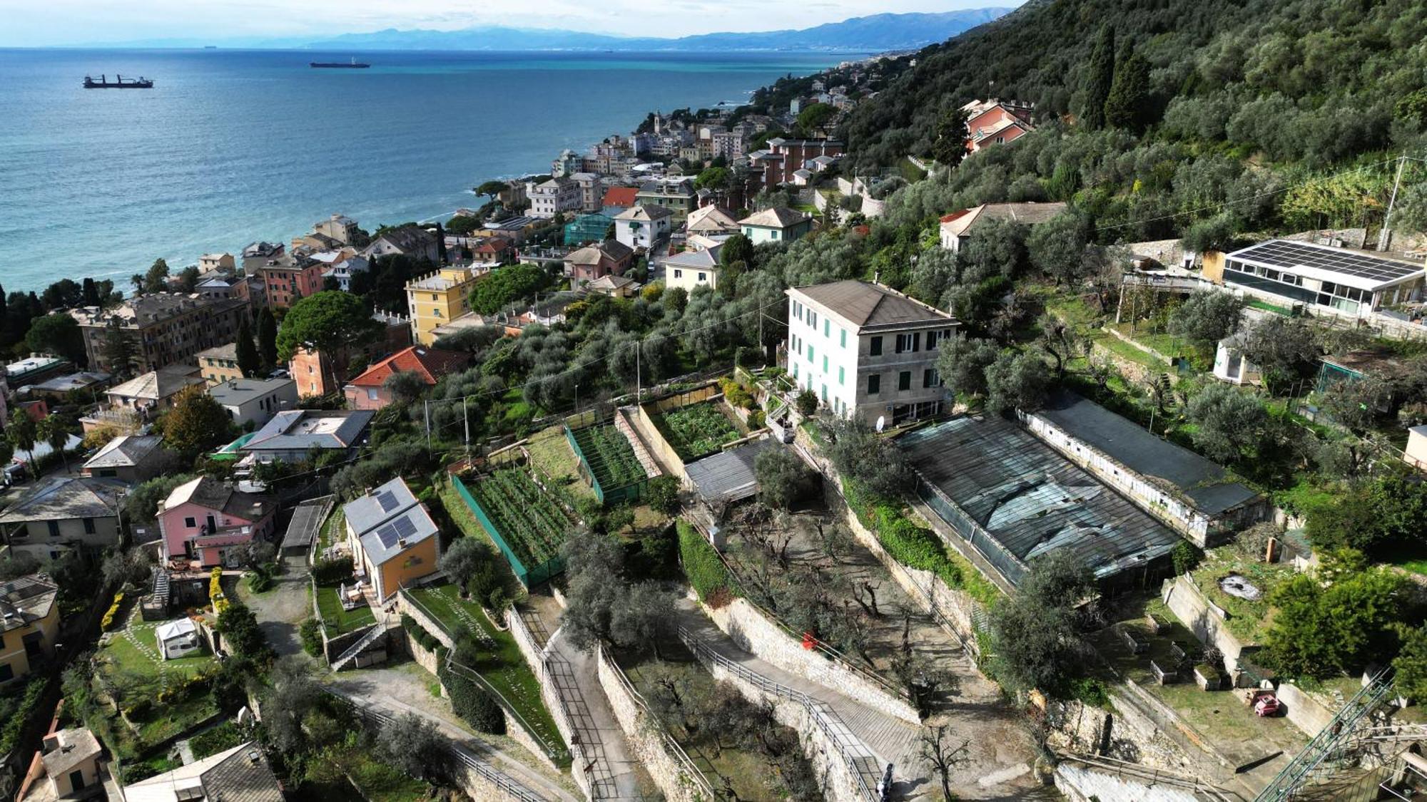 Cav Gli Ulivi Di Bogliasco Villa Buitenkant foto